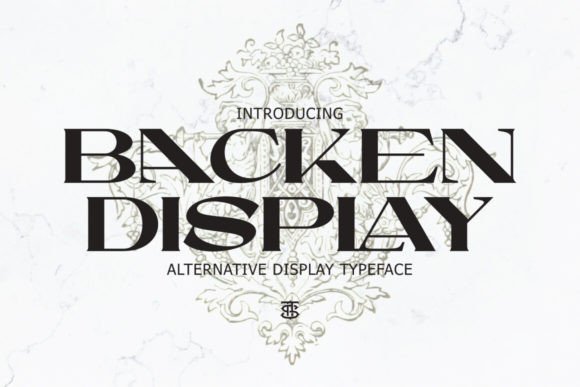 A Designer's Experience: Using Backen Display in Branding Projects