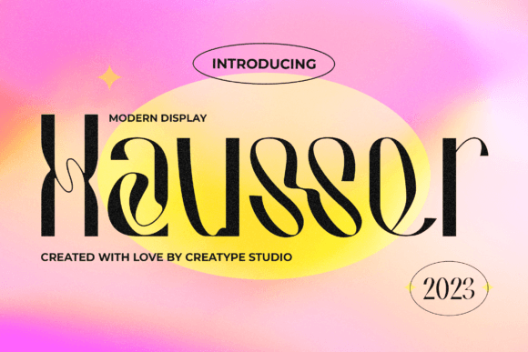 A Web Designer's Practical Review of Hausser Modern Display
