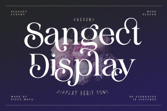Sangect Display: A Bold New Voice for Your Website